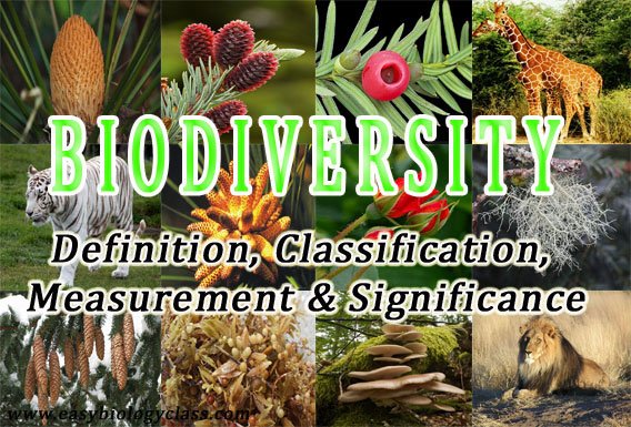 Biodiversity Significance Classification Measurement Easybiologyclass