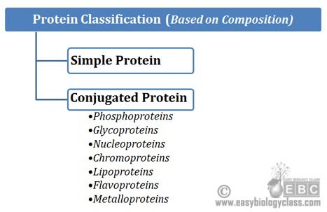 Protein Structure Classification