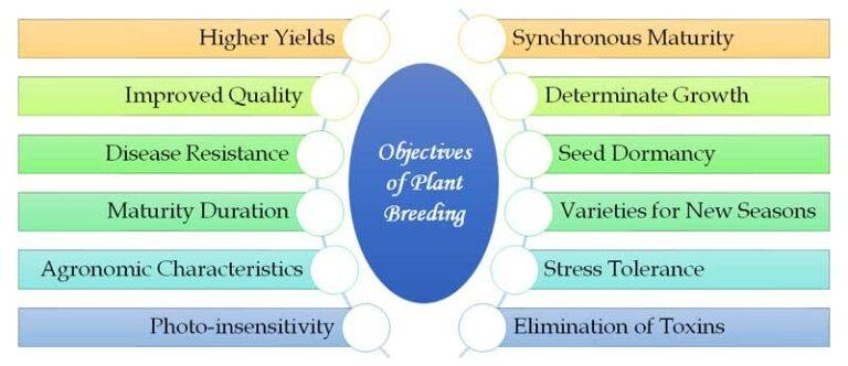 Objectives Of Plant Breeding Easybiologyclass