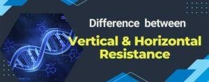 Difference Between Vertical And Horizontal Resistance EasyBiologyClass