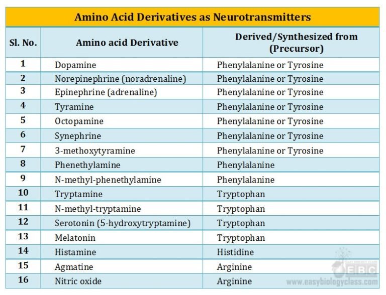 Amino Acids MCQ EasyBiologyClass