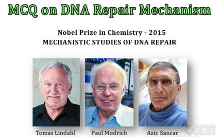 MECHANISTIC STUDIES OF DNA REPAIR