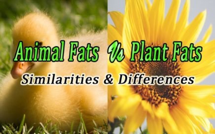 Saturated fats and Unsaturated fats