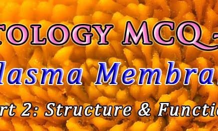 mcq on plasma membrane