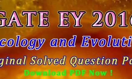 gate ey 2016 answer key