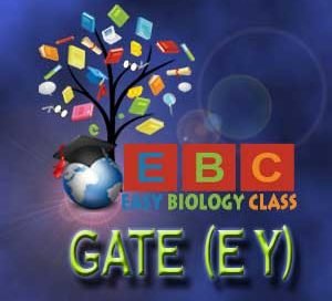 gate ey apply online