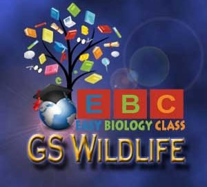 TIFR GS MSc Wildlife Conservation