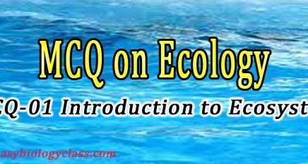 Ecology Quiz