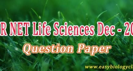 csir net december 2016 answer key