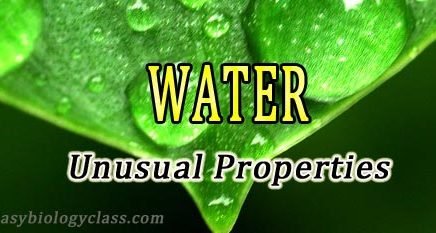 biological significance of water