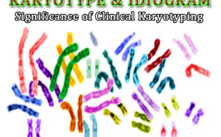 what is karyotyping