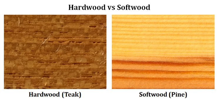  Difference Between Hardwood And Softwood EasyBiologyClass