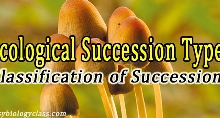 Types of Ecological Succession