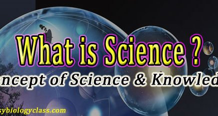 Science Word Definition