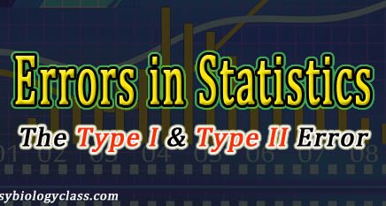 Statistical Errors Notes