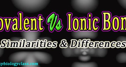 Compare Covalent and Ionic Bonds