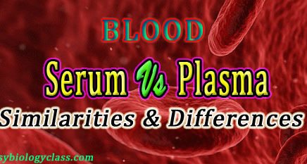 Difference between Serum and Plasma