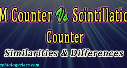 GM Counter vs Scintillation Counter