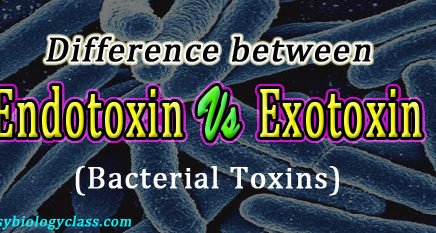Compare Exotoxin and Endotoxin