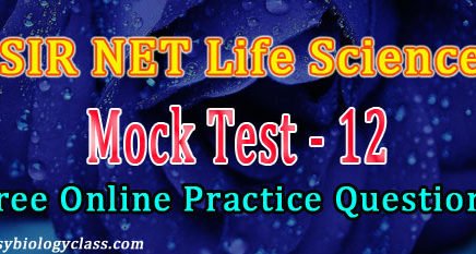 CSIR JRF NET Dec 2017 Question Paper