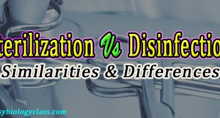 Compare sterilization and Disinfection