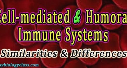 Difference between Humoral and Cell Mediated Immunity