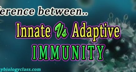 Compare Adaptive and Innate Immunity