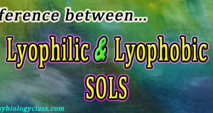 Compare Lyophilic and Lyophobic Sols