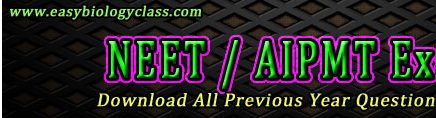 AIPMT NEET Old Papers PDF
