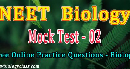 Biology NEET Questions