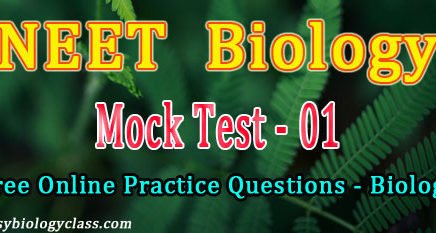 NEET Model Questions