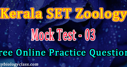 SET Model Questions 2019