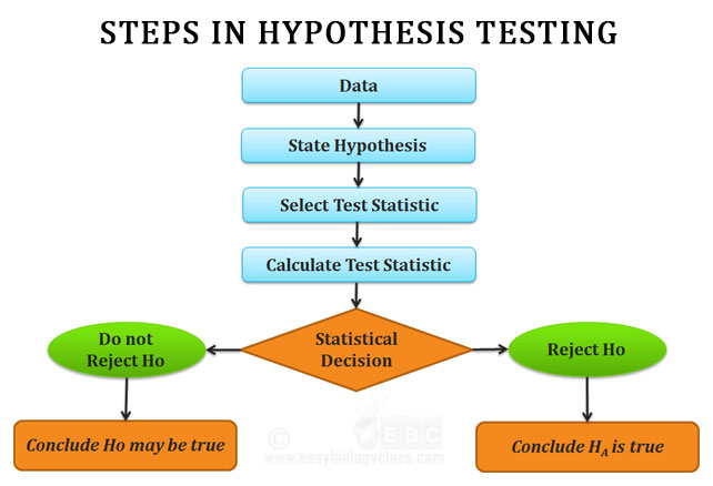 hypothesis testing process steps