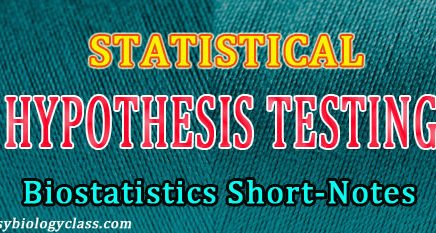 What is hypothesis Testing
