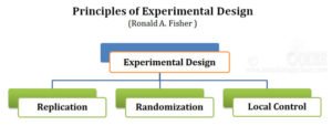 principles of experimental design comparison