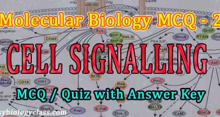 Signal Transduction MCQ
