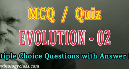 Evolution Quizzes