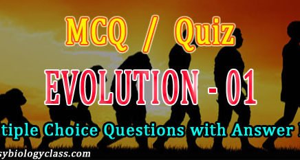 Evolution Practice Questions
