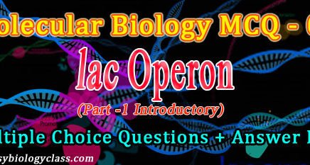 gene regulation mcq