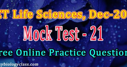 NET Dec 2018 Model Question Paper