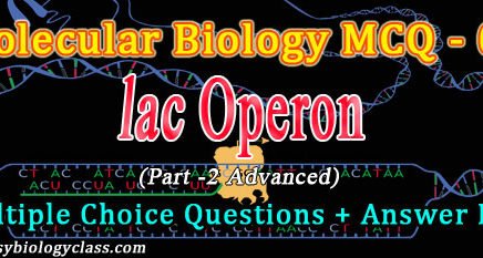 gene regulation mcq