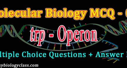 tryptophan operon mcq