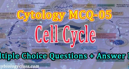 cytology quiz cell cycle