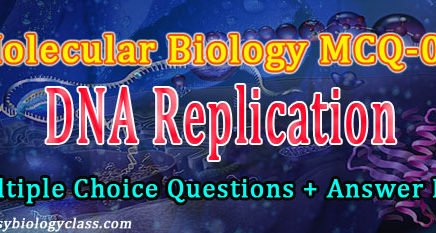Quiz on DNA Replication