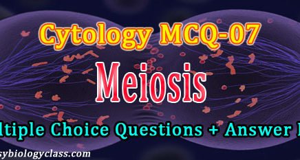 Meiosis mcq