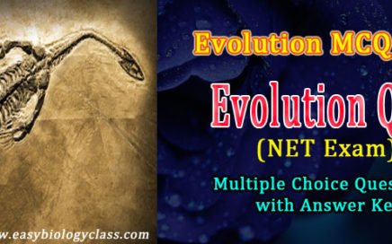 model questions in evolution