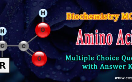 amino acids quiz