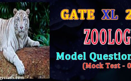 gate xl zoology model paper