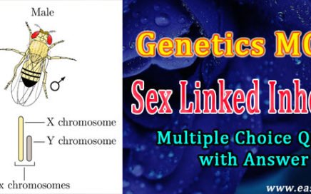 sex linked inheritance problems