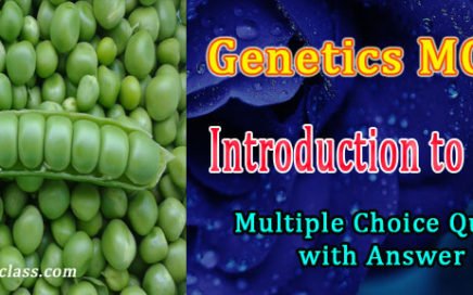 genetics quiz